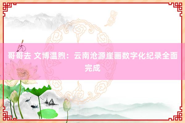 哥哥去 文博温煦：云南沧源崖画数字化纪录全面完成