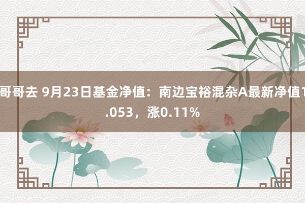 哥哥去 9月23日基金净值：南边宝裕混杂A最新净值1.053，涨0.11%