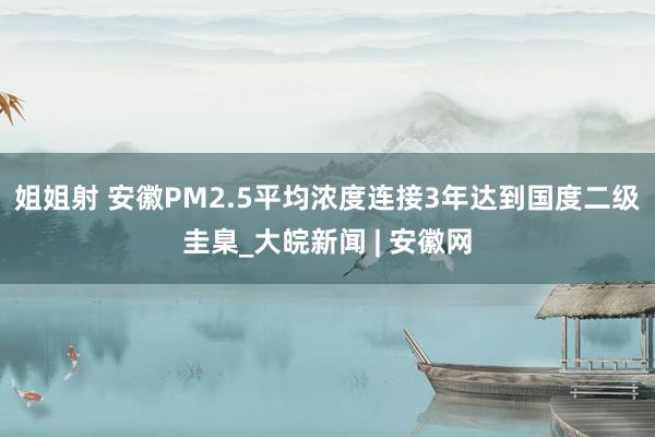 姐姐射 安徽PM2.5平均浓度连接3年达到国度二级圭臬_大皖新闻 | 安徽网