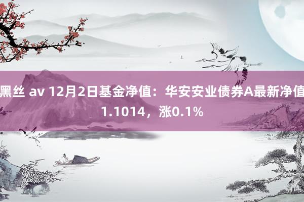 黑丝 av 12月2日基金净值：华安安业债券A最新净值1.1014，涨0.1%