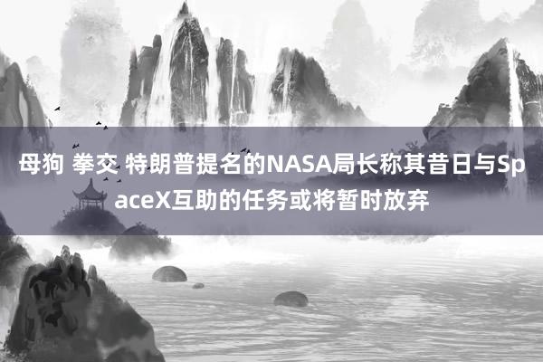 母狗 拳交 特朗普提名的NASA局长称其昔日与SpaceX互助的任务或将暂时放弃