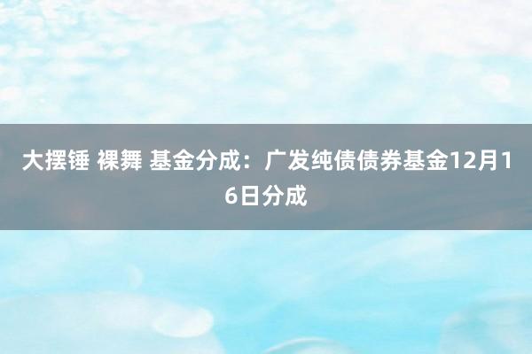 大摆锤 裸舞 基金分成：广发纯债债券基金12月16日分成
