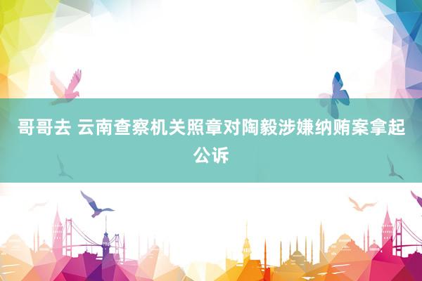 哥哥去 云南查察机关照章对陶毅涉嫌纳贿案拿起公诉