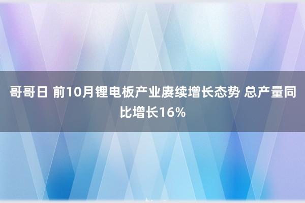 哥哥日 前10月锂电板产业赓续增长态势 总产量同比增长16%
