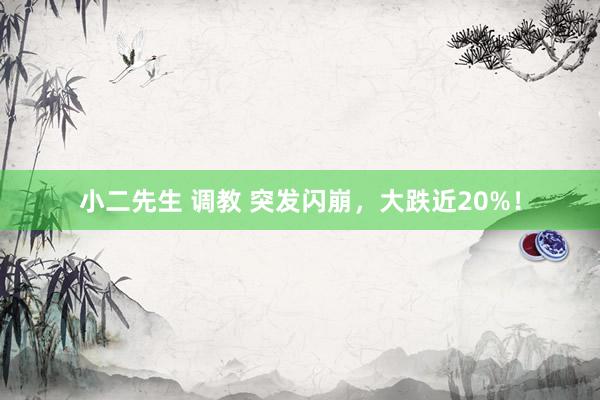 小二先生 调教 突发闪崩，大跌近20%！