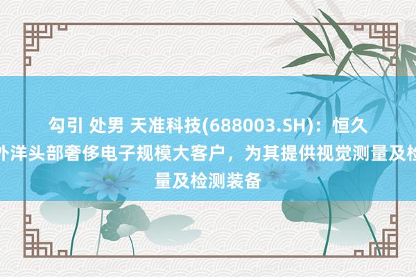 勾引 处男 天准科技(688003.SH)：恒久功绩于外洋头部奢侈电子规模大客户，为其提供视觉测量及检测装备