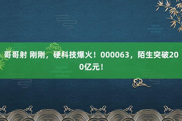 哥哥射 刚刚，硬科技爆火！000063，陌生突破200亿元！
