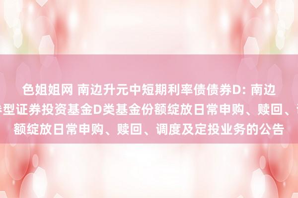 色姐姐网 南边升元中短期利率债债券D: 南边升元中短期利率债债券型证券投资基金D类基金份额绽放日常申购、赎回、调度及定投业务的公告