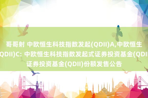 哥哥射 中欧恒生科技指数发起(QDII)A,中欧恒生科技指数发起(QDII)C: 中欧恒生科技指数发起式证券投资基金(QDII)份额发售公告