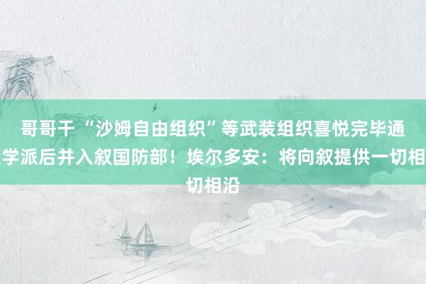 哥哥干 “沙姆自由组织”等武装组织喜悦完毕通盘学派后并入叙国防部！埃尔多安：将向叙提供一切相沿
