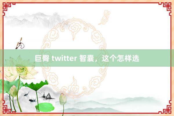 巨臀 twitter 智囊,这个怎样选