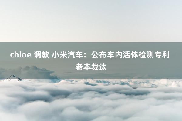 chloe 调教 小米汽车：公布车内活体检测专利 老本裁汰