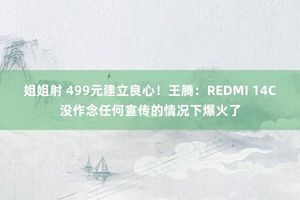 姐姐射 499元建立良心！王腾：REDMI 14C没作念任何宣传的情况下爆火了