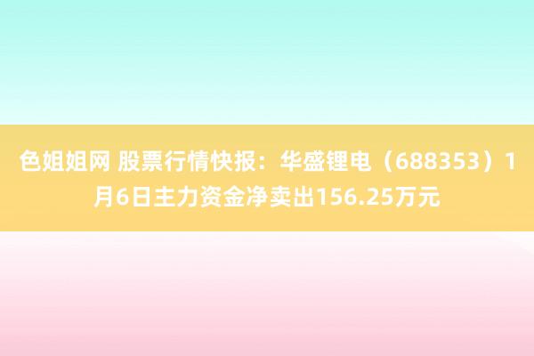 色姐姐网 股票行情快报：华盛锂电（688353）1月6日主力资金净卖出156.25万元