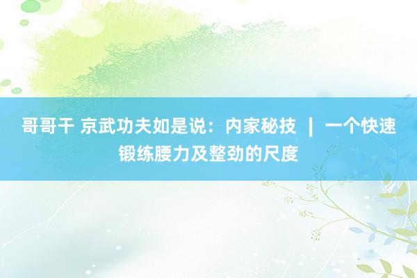 哥哥干 京武功夫如是说:内家秘技 ∣ 一个快速锻练腰力及整劲的尺度