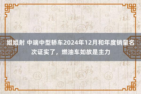 姐姐射 中端中型轿车2024年12月和年度销量名次证实了，燃油车如故是主力