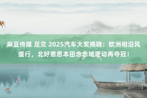 麻豆传媒 足交 2025汽车大奖揭晓：欧洲相沿风盛行，北好意思本田念念域混动再夺冠！