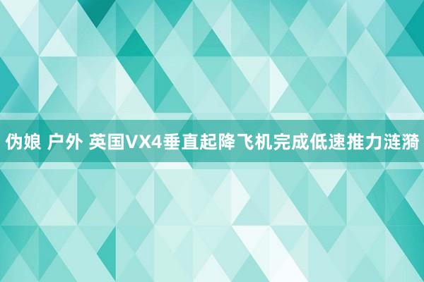 伪娘 户外 英国VX4垂直起降飞机完成低速推力涟漪