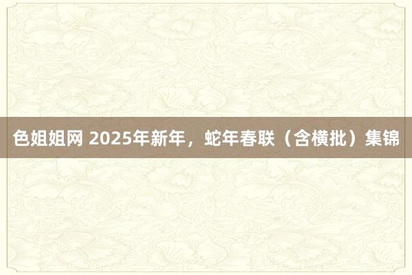 色姐姐网 2025年新年，蛇年春联（含横批）集锦