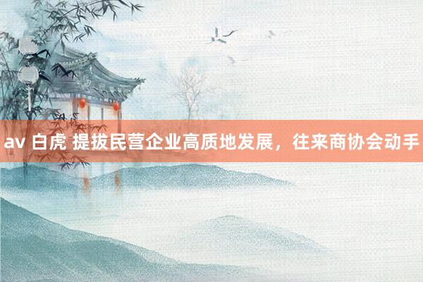av 白虎 提拔民营企业高质地发展，往来商协会动手