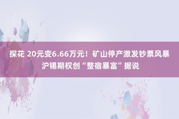 探花 20元变6.66万元！矿山停产激发钞票风暴 沪锡期权创“整宿暴富”据说