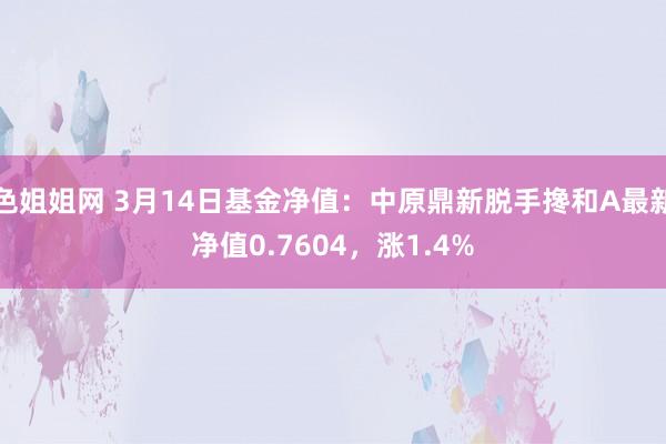 色姐姐网 3月14日基金净值：中原鼎新脱手搀和A最新净值0.7604，涨1.4%