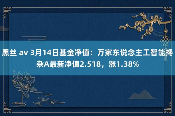 黑丝 av 3月14日基金净值：万家东说念主工智能搀杂A最新净值2.518，涨1.38%