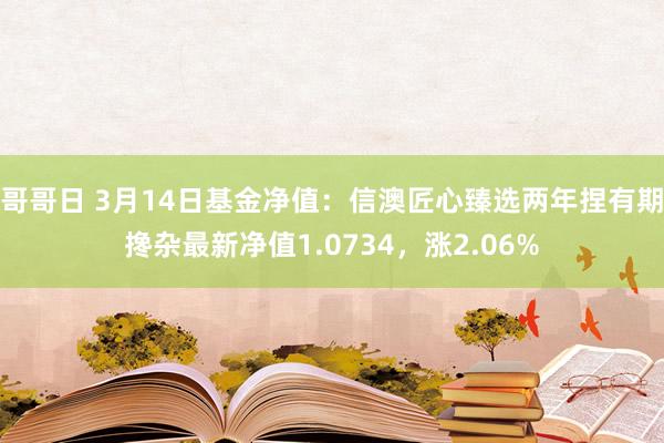 哥哥日 3月14日基金净值：信澳匠心臻选两年捏有期搀杂最新净值1.0734，涨2.06%