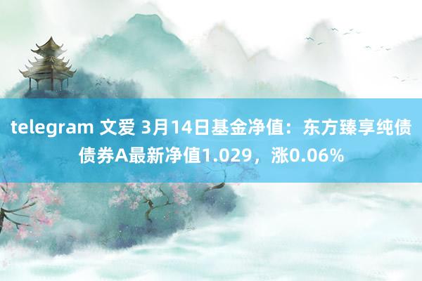 telegram 文爱 3月14日基金净值：东方臻享纯债债券A最新净值1.029，涨0.06%