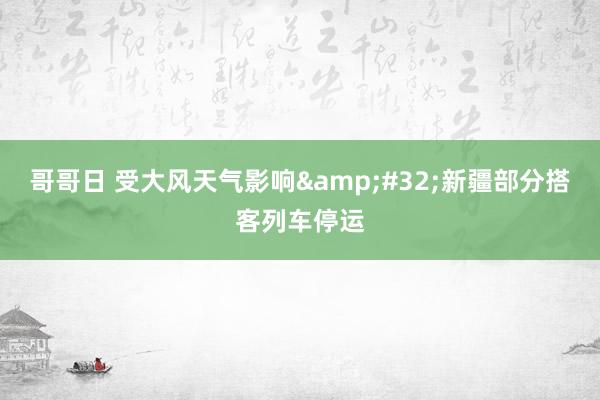 哥哥日 受大风天气影响&#32;新疆部分搭客列车停运