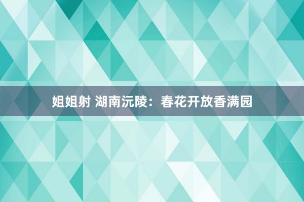 姐姐射 湖南沅陵：春花开放香满园