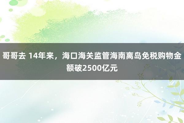 哥哥去 14年来，海口海关监管海南离岛免税购物金额破2500亿元
