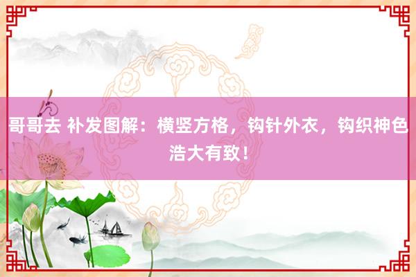 哥哥去 补发图解：横竖方格，钩针外衣，钩织神色浩大有致！
