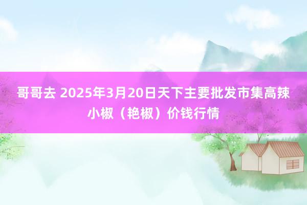 哥哥去 2025年3月20日天下主要批发市集高辣小椒（艳椒）价钱行情