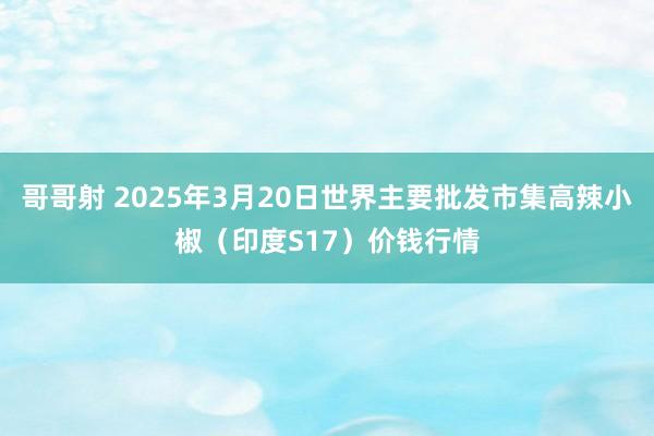 哥哥射 2025年3月20日世界主要批发市集高辣小椒（印度S17）价钱行情