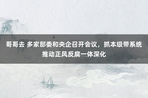 哥哥去 多家部委和央企召开会议，抓本级带系统推动正风反腐一体深化
