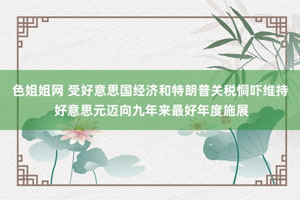 色姐姐网 受好意思国经济和特朗普关税恫吓维持 好意思元迈向九年来最好年度施展