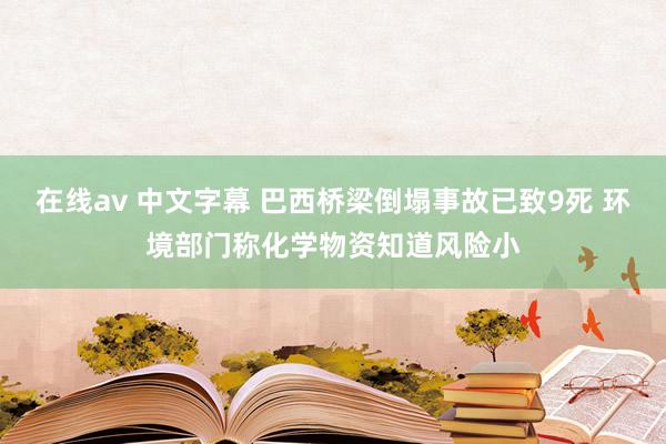 在线av 中文字幕 巴西桥梁倒塌事故已致9死 环境部门称化学物资知道风险小