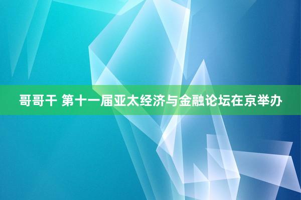 哥哥干 第十一届亚太经济与金融论坛在京举办