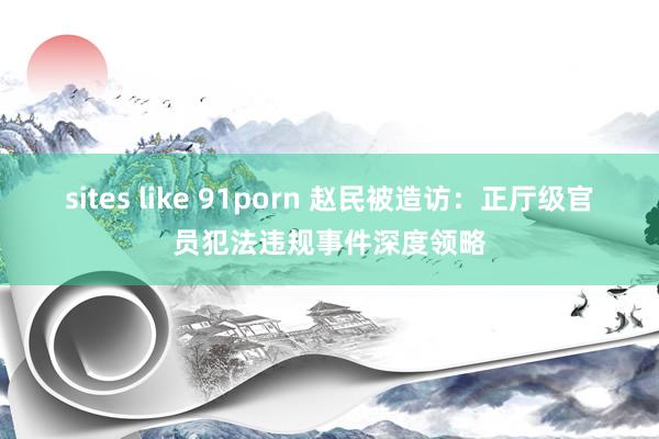 sites like 91porn 赵民被造访：正厅级官员犯法违规事件深度领略