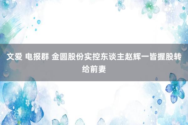 文爱 电报群 金圆股份实控东谈主赵辉一皆握股转给前妻